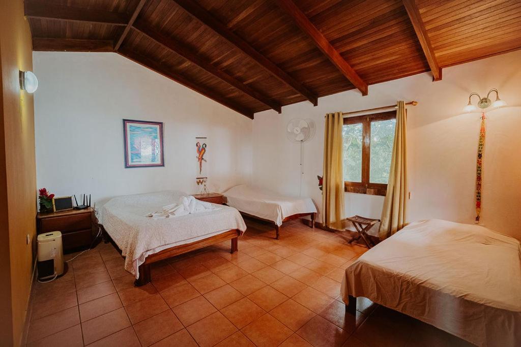 Lodge Mirador - Great Swimming Pool - Kitchen - Bbq - Netflix Tajo Alto Kültér fotó