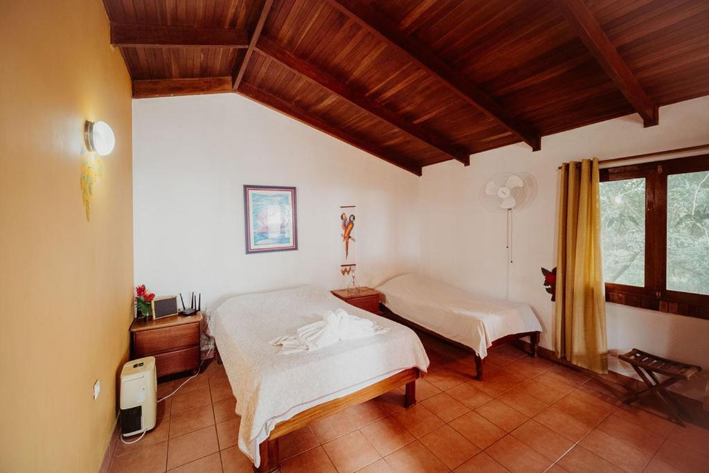 Lodge Mirador - Great Swimming Pool - Kitchen - Bbq - Netflix Tajo Alto Kültér fotó