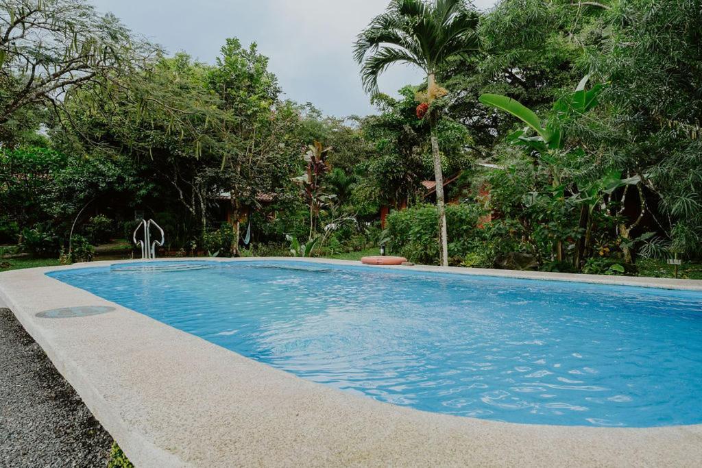 Lodge Mirador - Great Swimming Pool - Kitchen - Bbq - Netflix Tajo Alto Kültér fotó